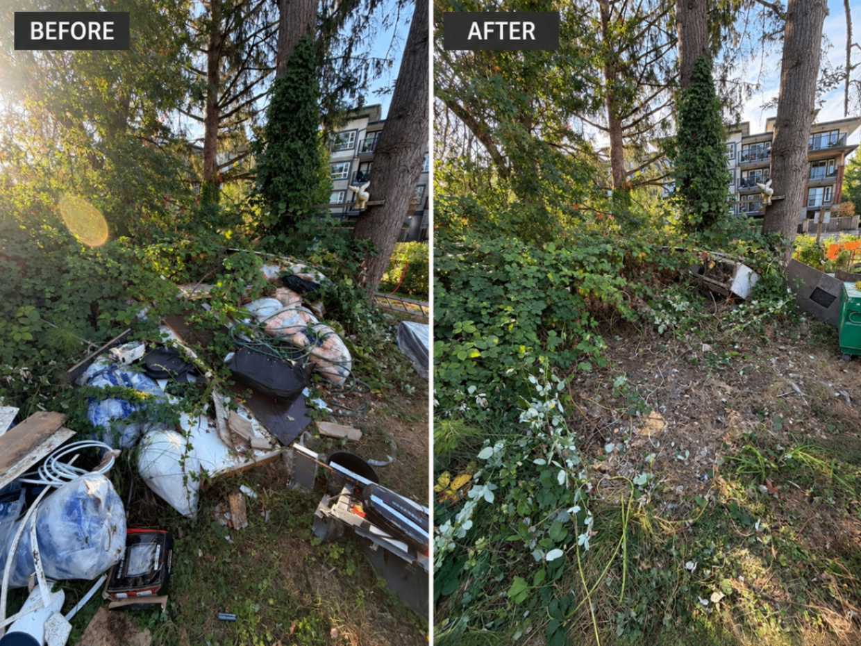 Before and after — Wooded property cleanup